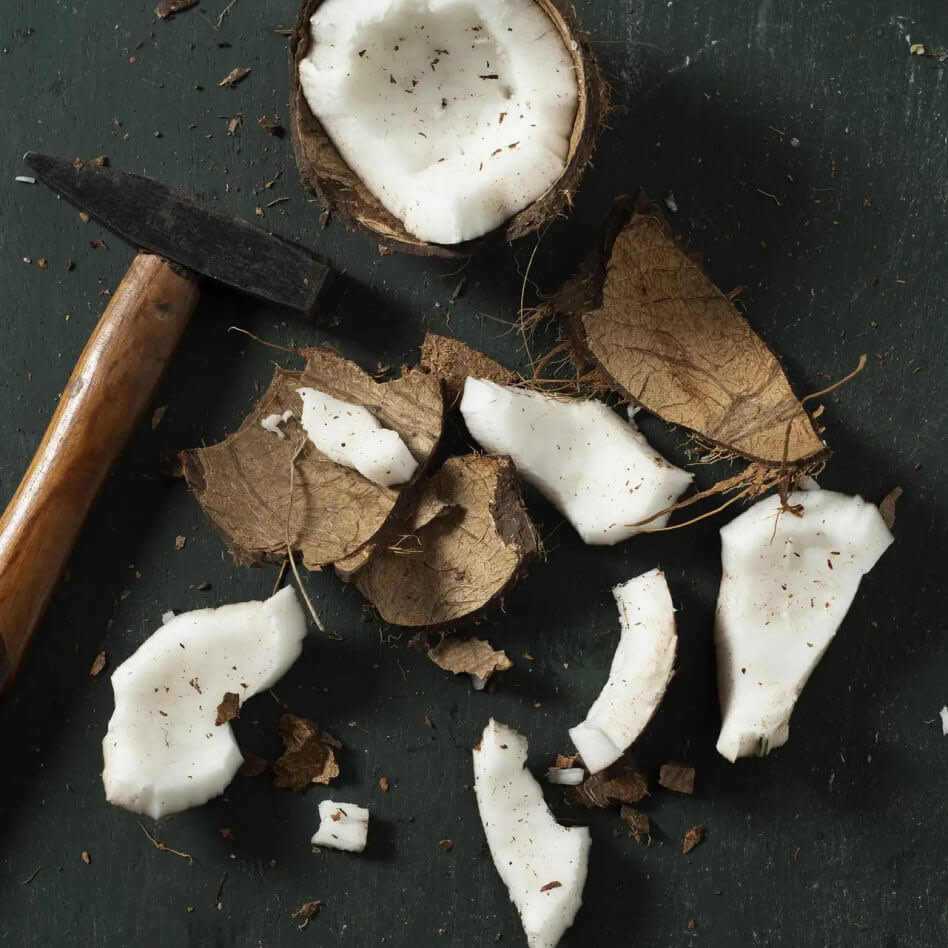 Coconut shell broken into pieces