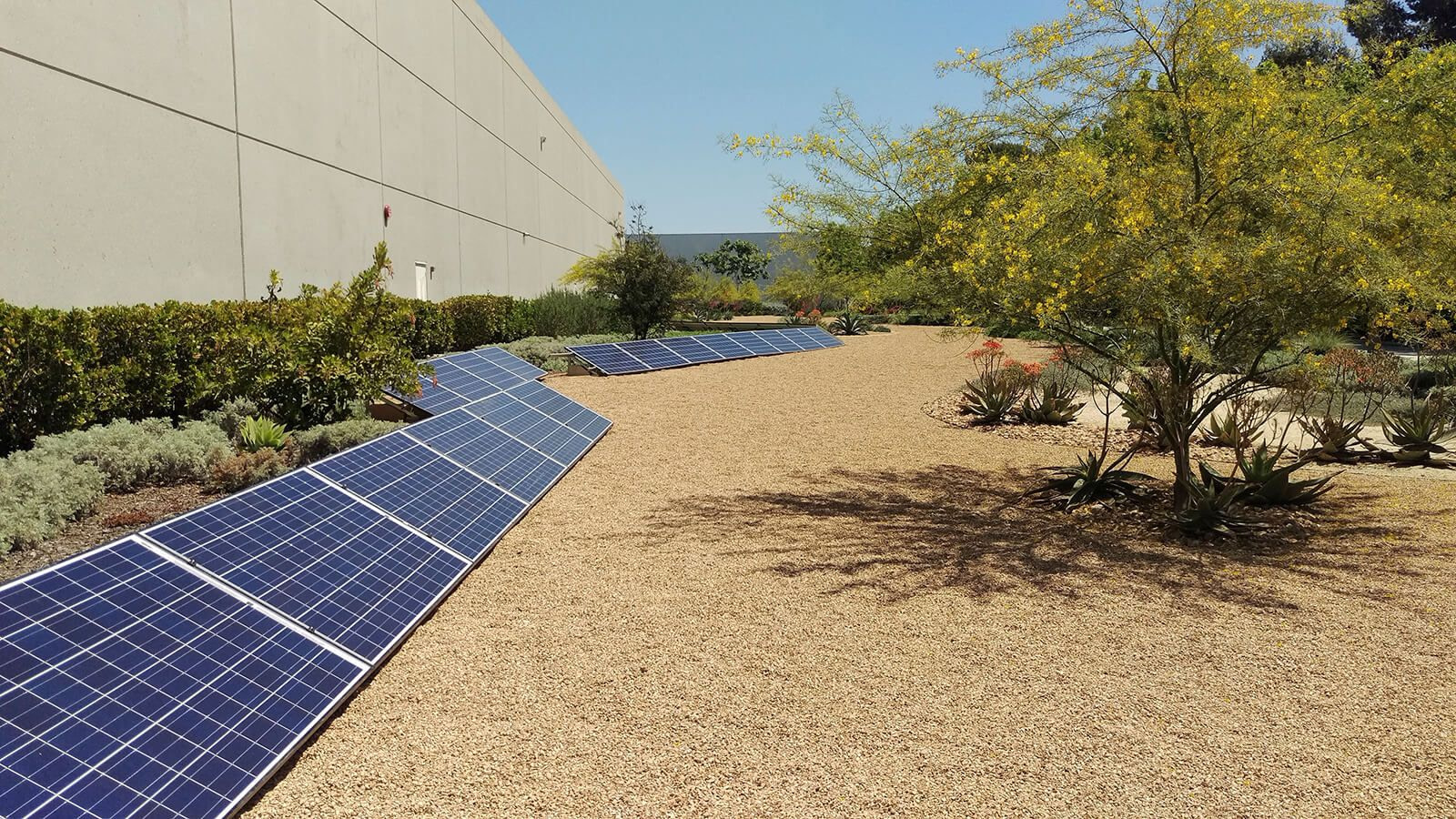 Solar Panels Used For Cleaner Manufacturing