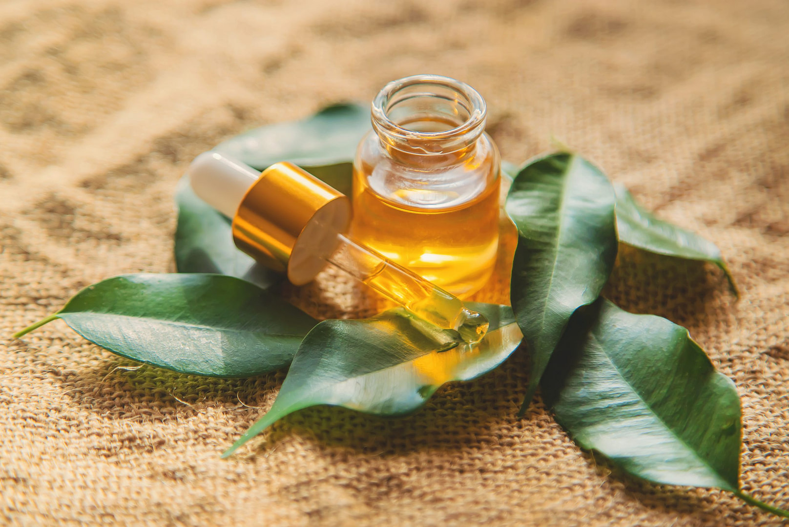 Tea Tree Oil In A Small Bottle